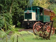 Luau Kalamaku & Plantation Train