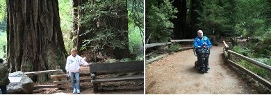 Muir Woods