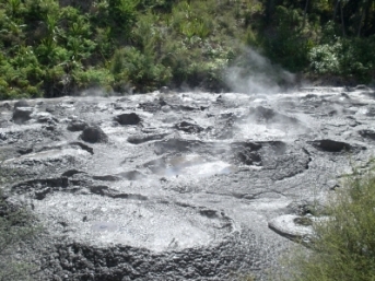 Mud Pool