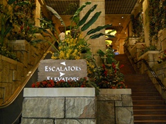 Aquarium entrance