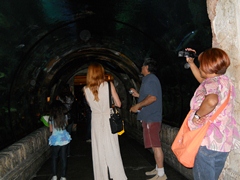 inside Aquarium