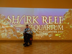 Shark Reef Aquarium