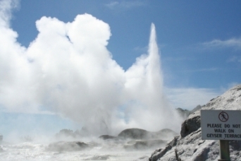 Geyser at Rotorua New Zealand