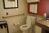 Toilet and grab rails