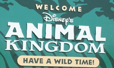 Welcome Disney's Animal Kingdom