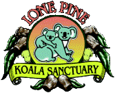 Lone Pine Koala Sanctuary