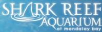 Shark Reef Aquarium