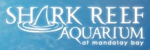 hark Reef Aquarium