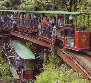 Driving Creek Railway